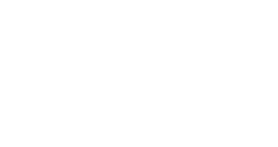 Logo thaiky